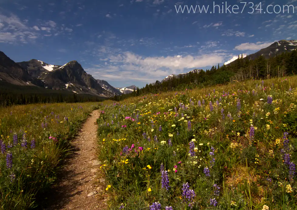 Medicine Grizzly Lake