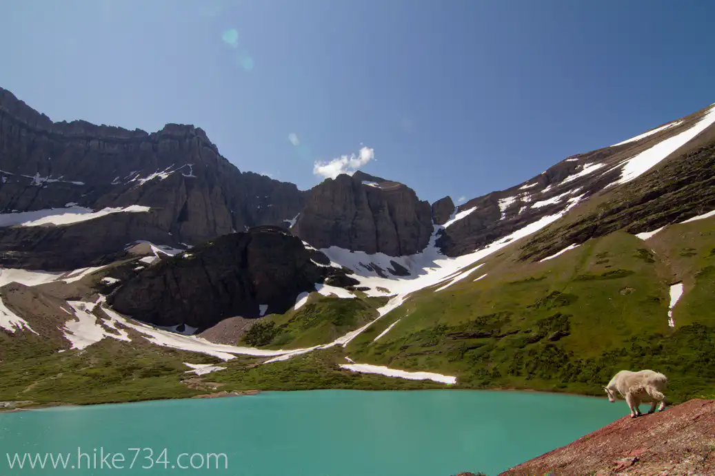 “Mountain Goat at Cracker Lake” – DVD Excerpt