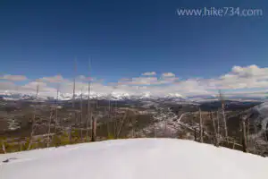 Made in Montana