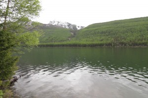Logging Lake