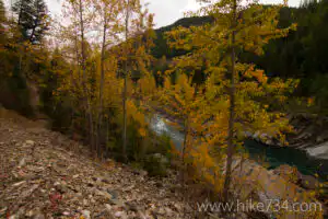 South Boundary Trail