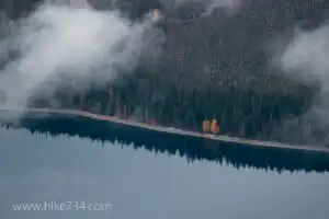 Lake McDonald with Gold