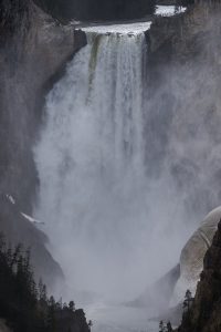 Yellowstone Falls