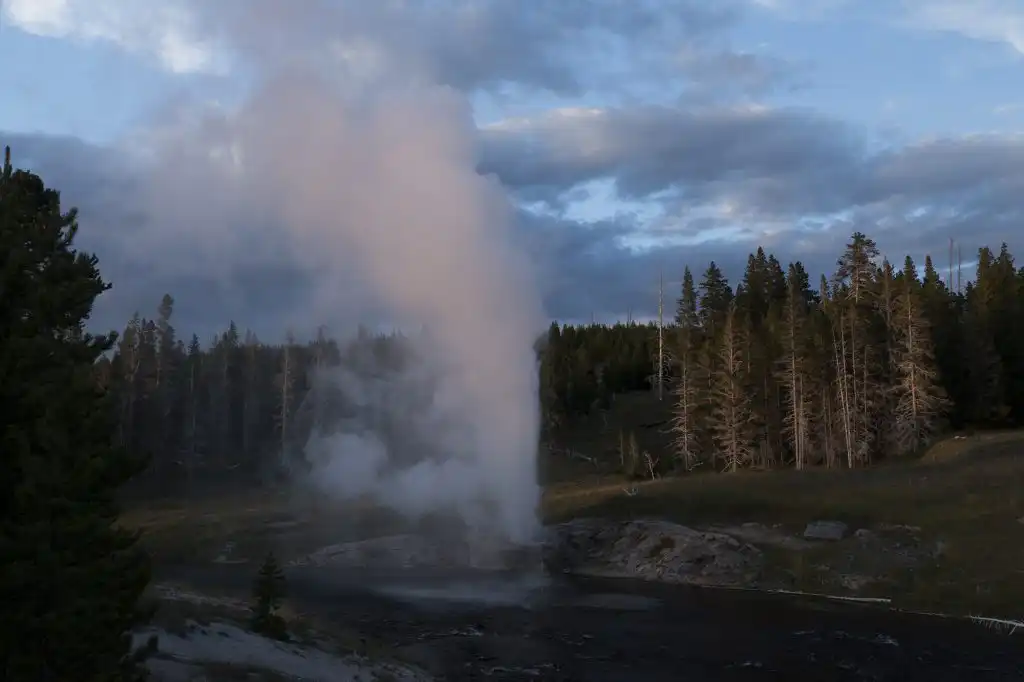 Geyer erupting in Yellowstone National Park