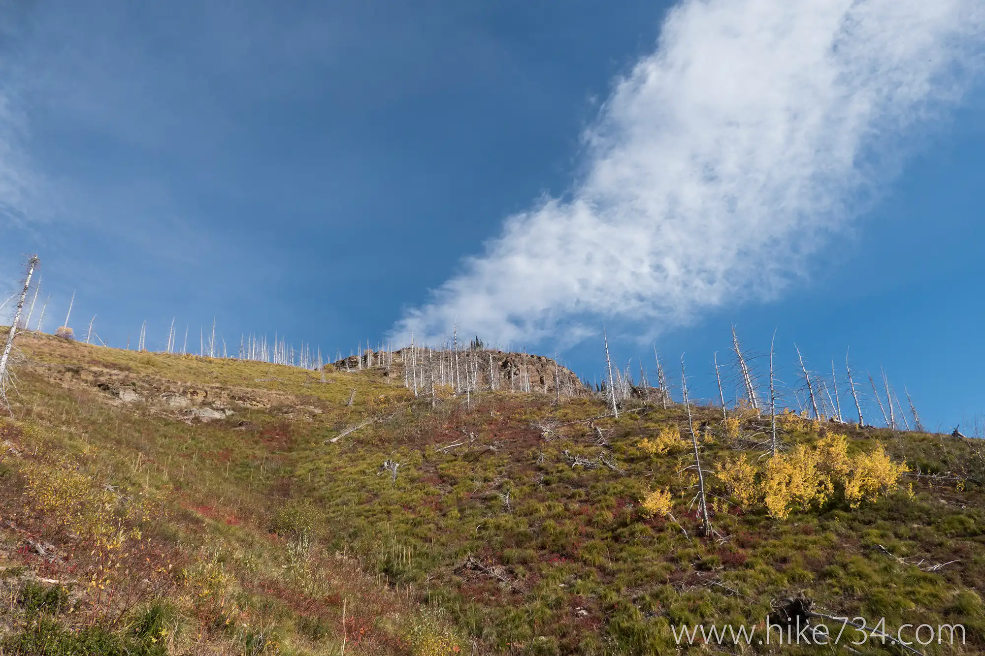 Swiftcurrent Raptor Count 2015