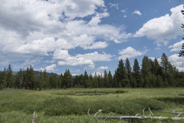 Cascade Creek Trail - Hike 734