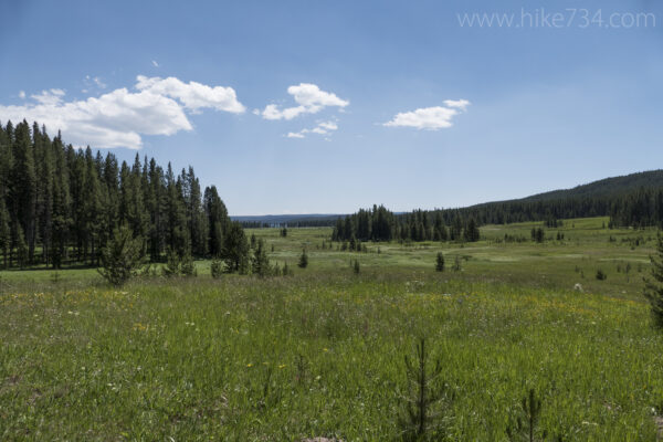 DeLacy Creek - Hike 734