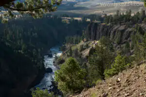 Yellowstone River Picnic Area