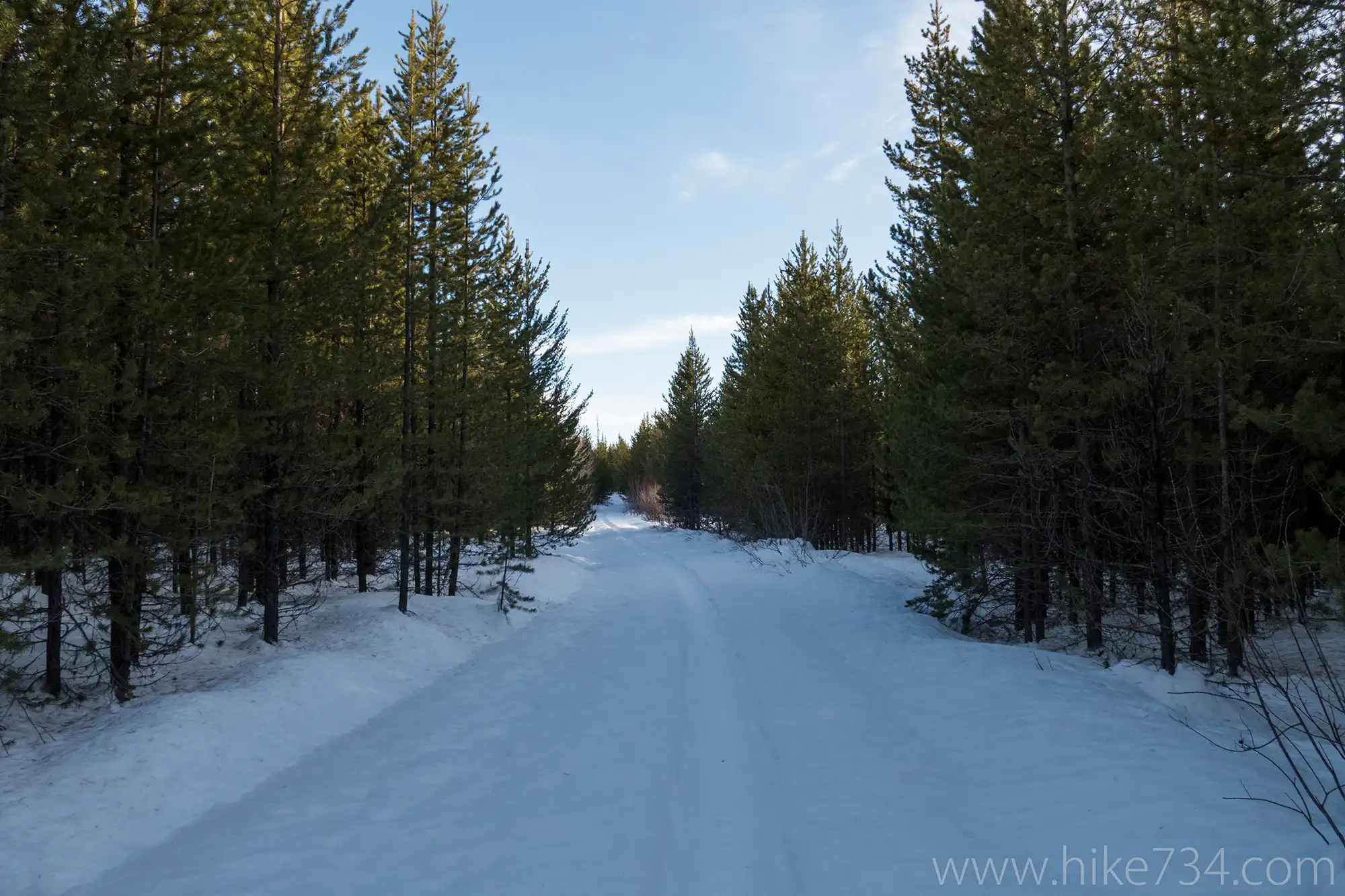 Ski to Covey Meadow 2017