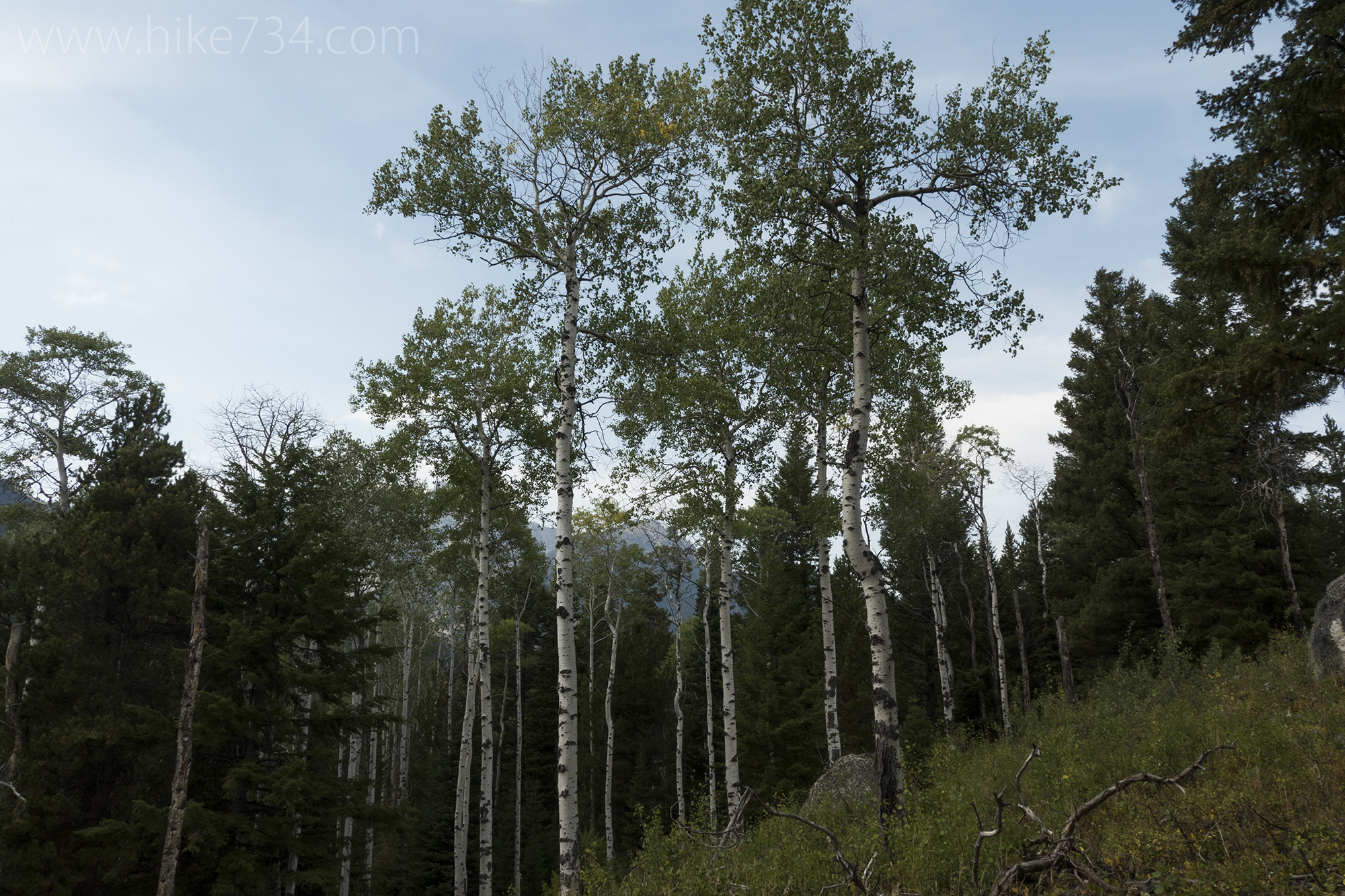 Aspen Ridge – Boulder Ridge Loop