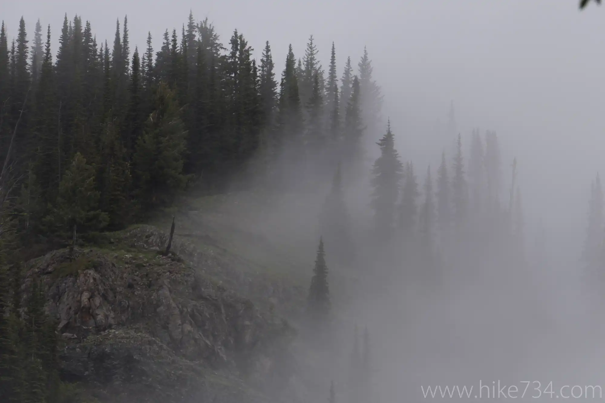 Scalplock Lookout 2017