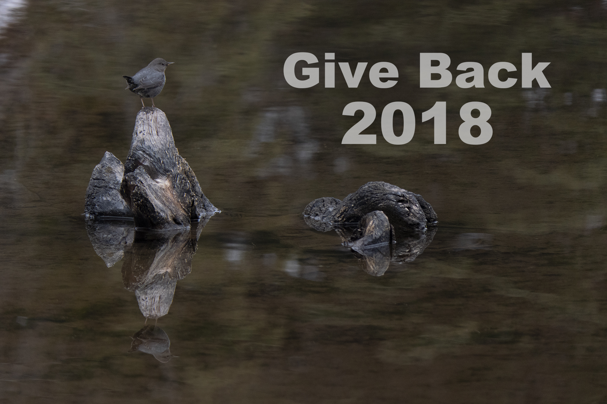 Hike 734 Give Back 2018