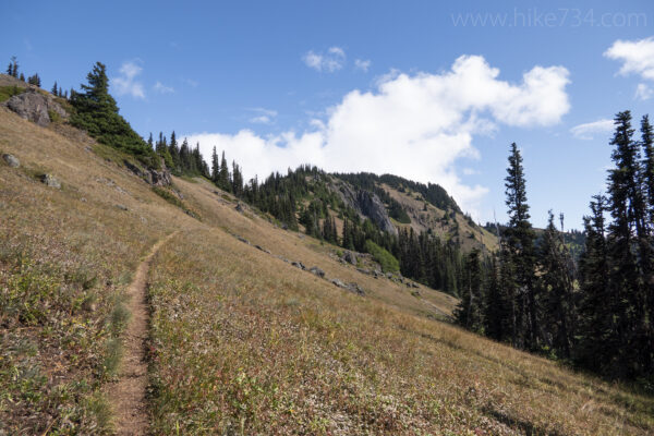 Hurricane Hill from Elwha - Hike 734