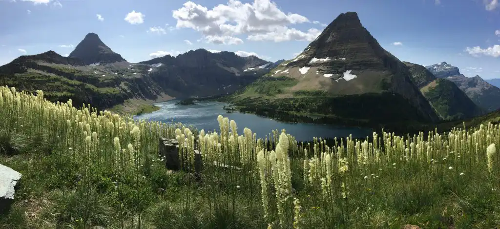 Beargrass blooms with lake and mountains from a hiking trail in Glacier National Park