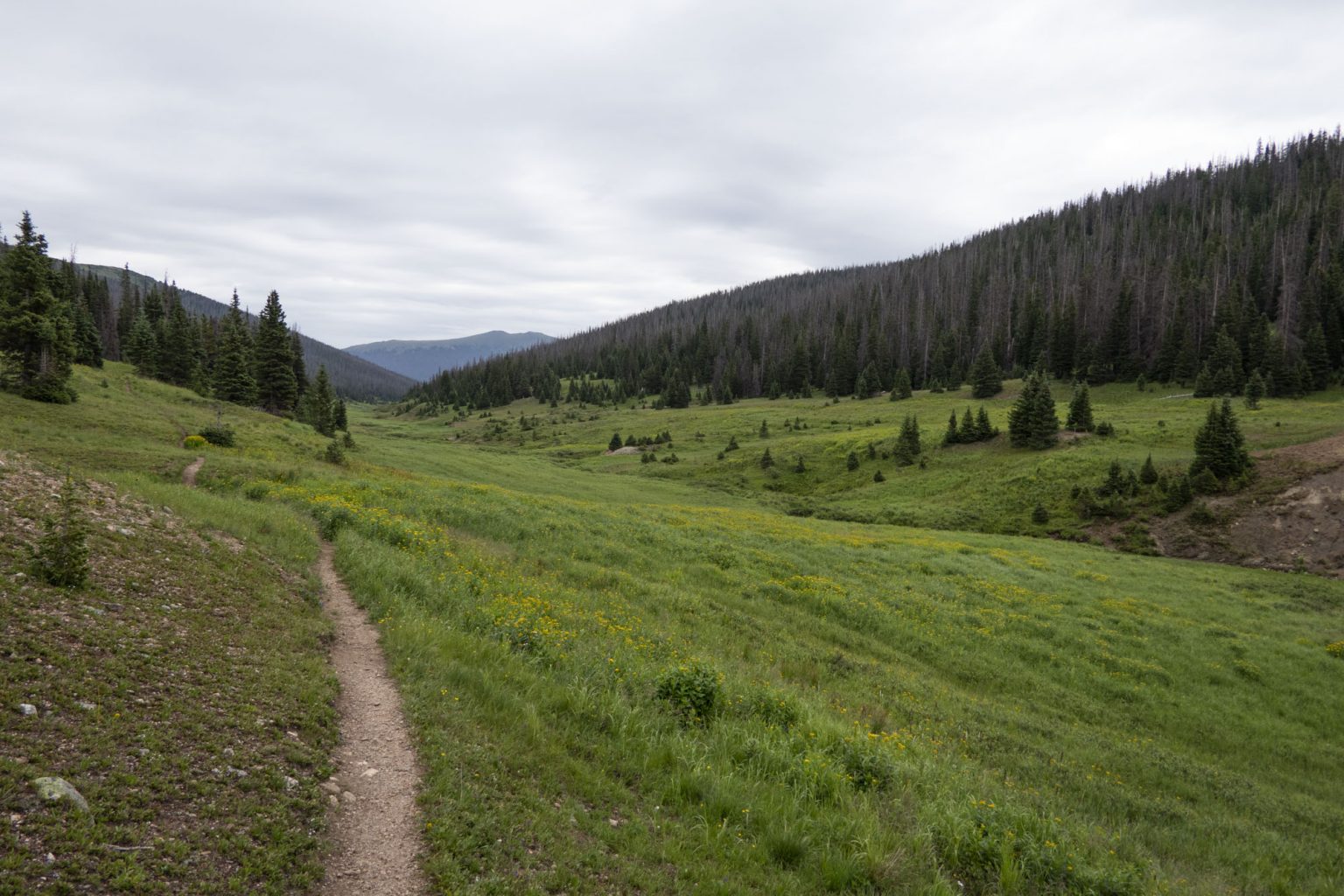 Poudre River Trail - Hike 734