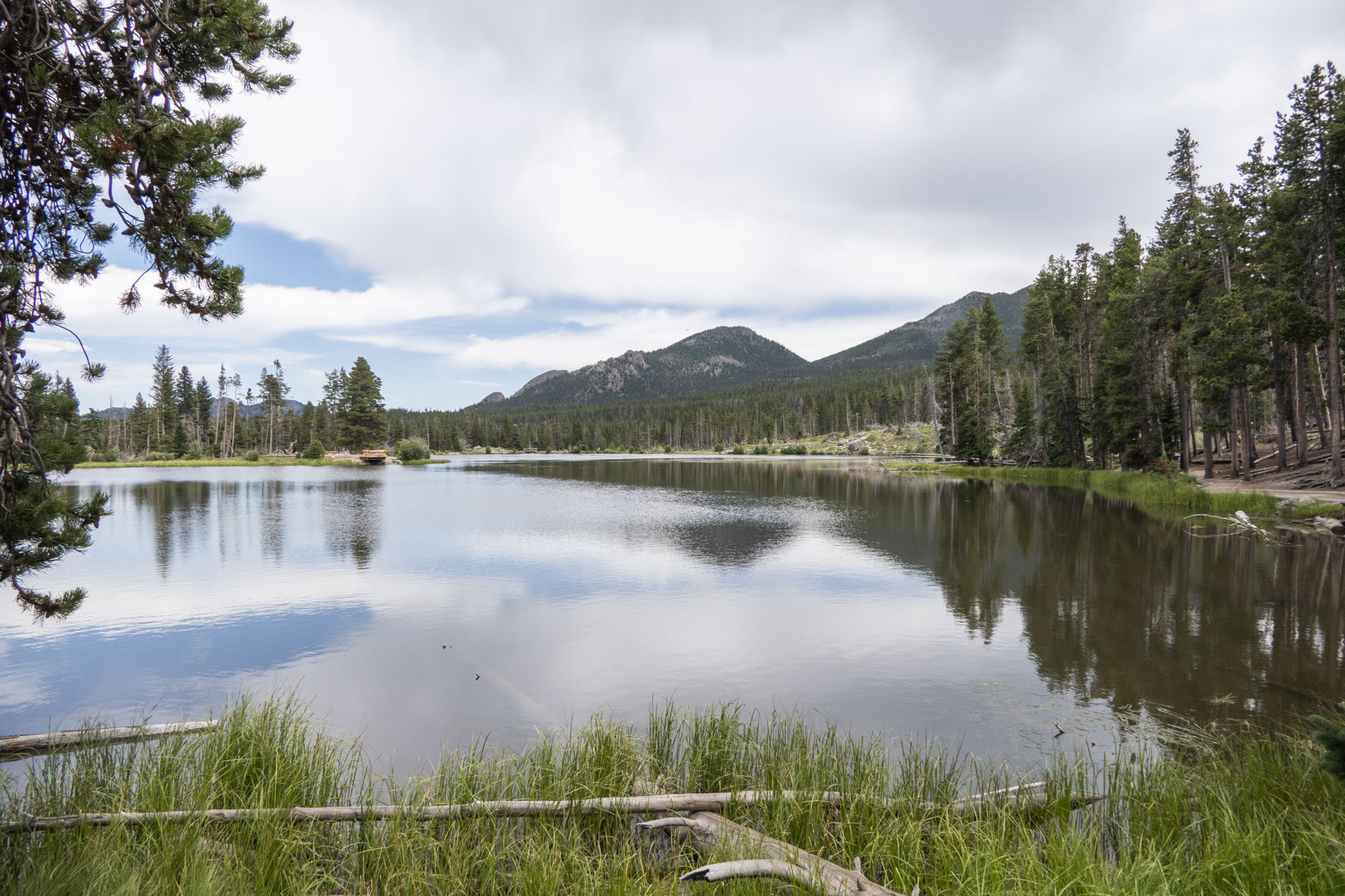 Sprague Lake Nature Trail Hike 734