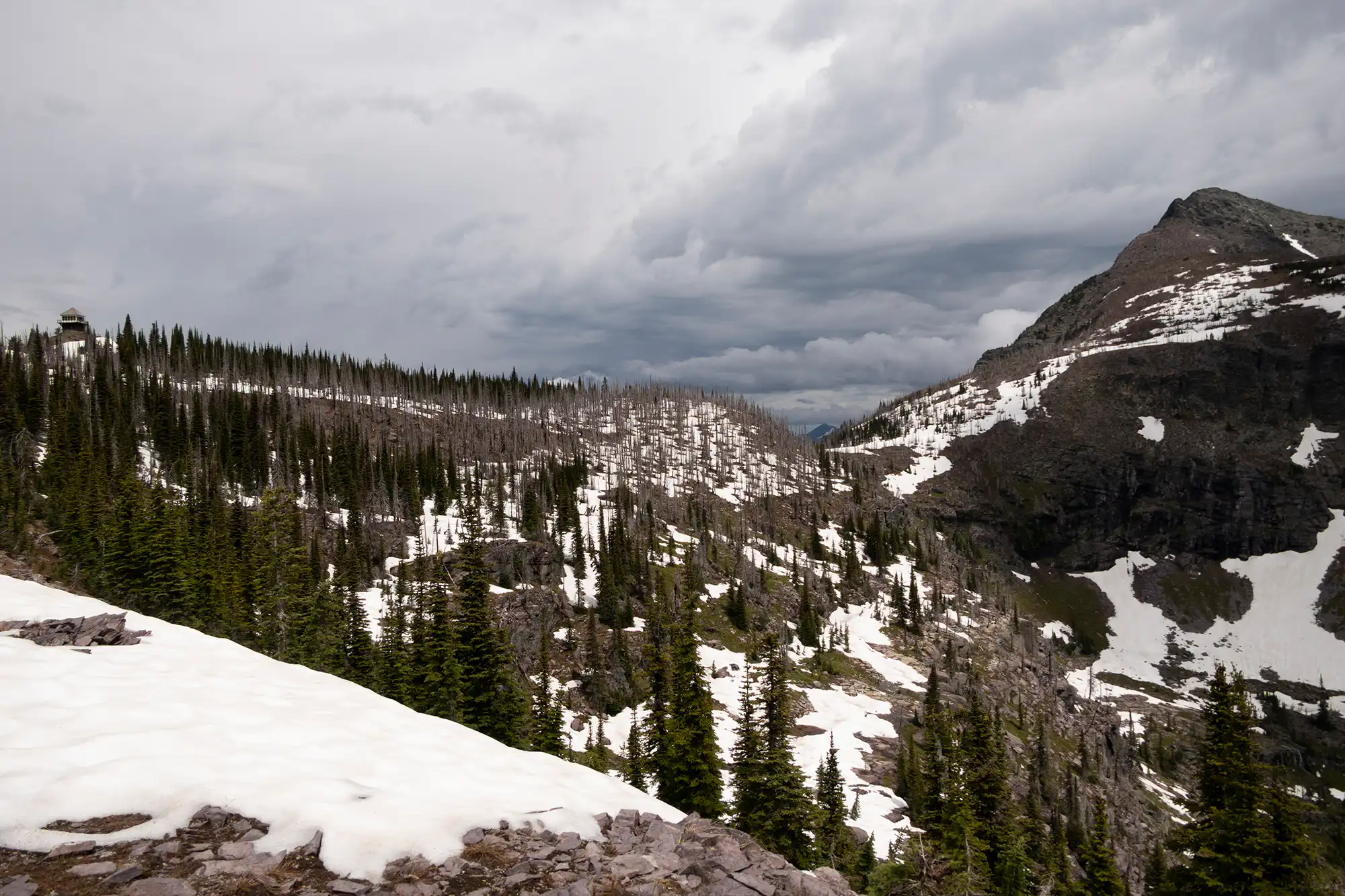 Mt Brown Lookout 2022