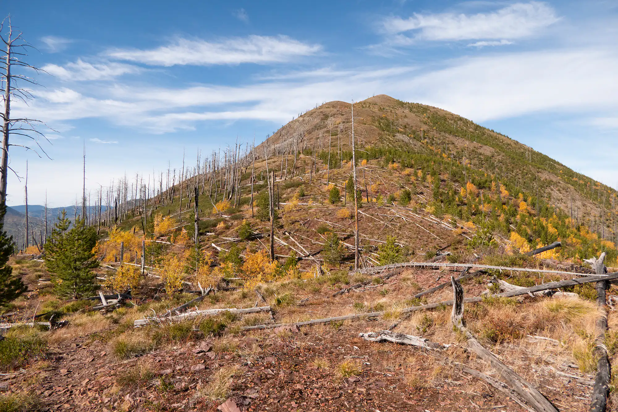 Glacier View – Fall 2021