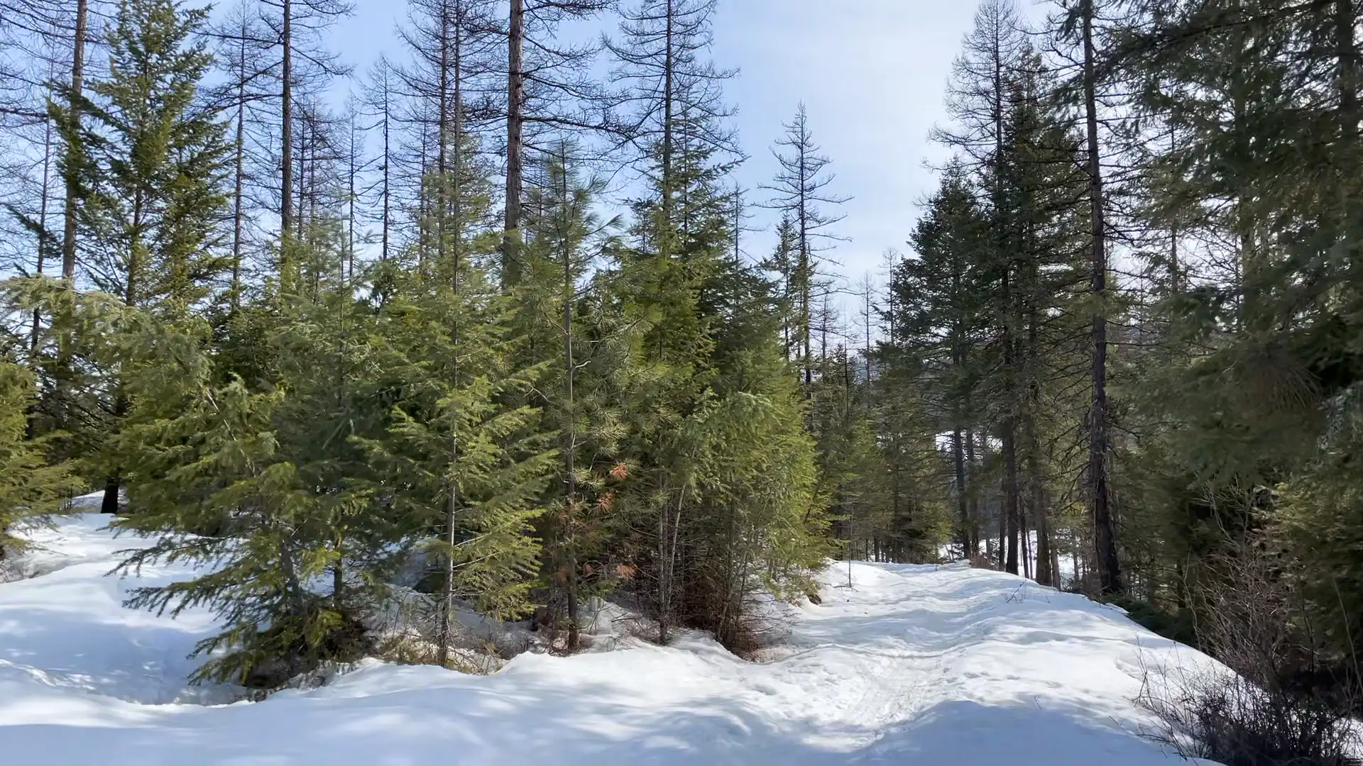 “Spring” into Training