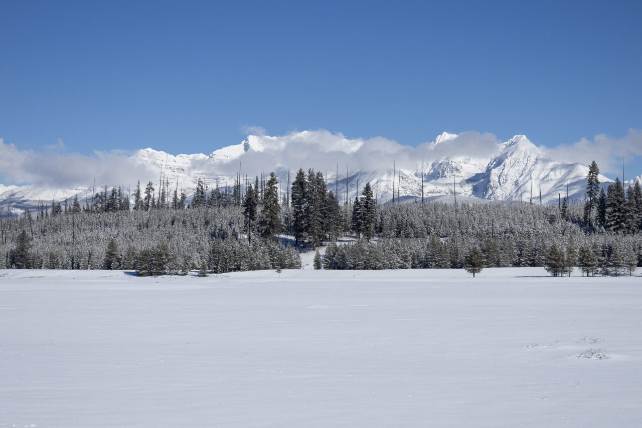 Big Prairie Ski