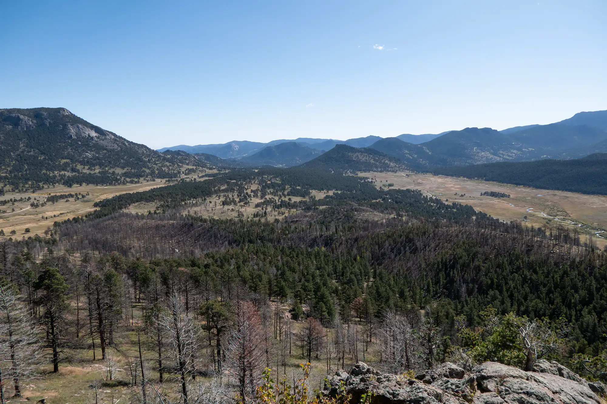 Upper Beaver Meadows Loop