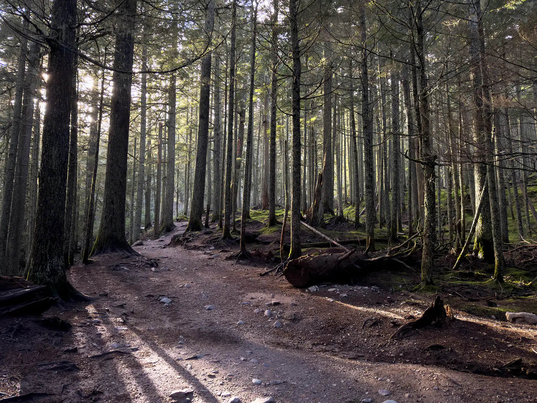 Avalanche Lake – Fall 2025