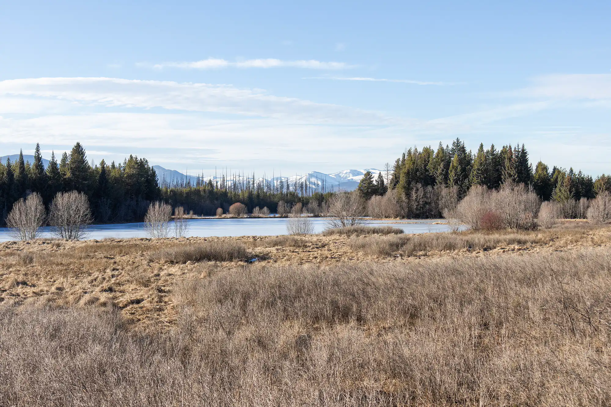 Hidden Meadow Winter Hike – 2026